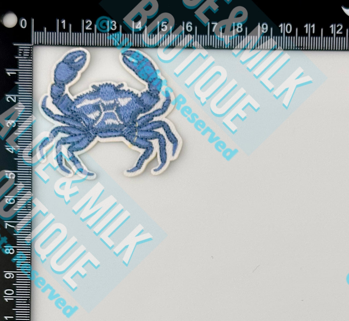 Blue Crab Patch, beach crab, ocean crab patch, sea patches